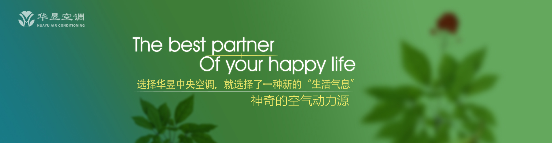 呕心滴血网